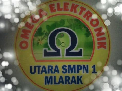 omega elektronik turkey|More.